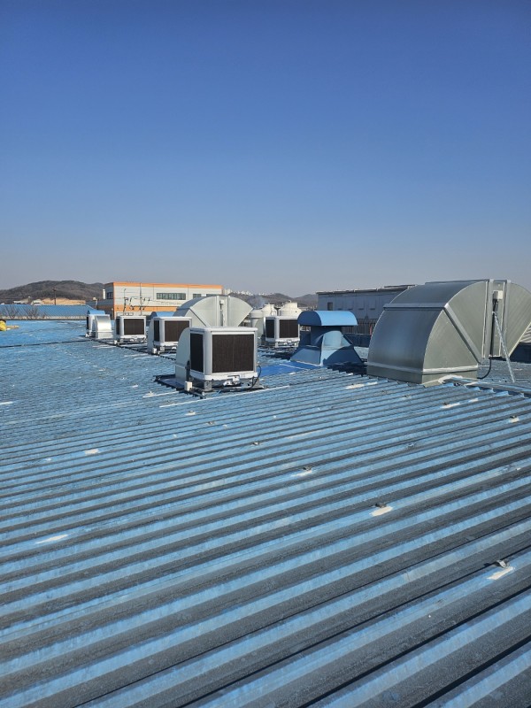 dd50f546deac5f96b07abdb2fd96a496_1742882495_2167.jpg